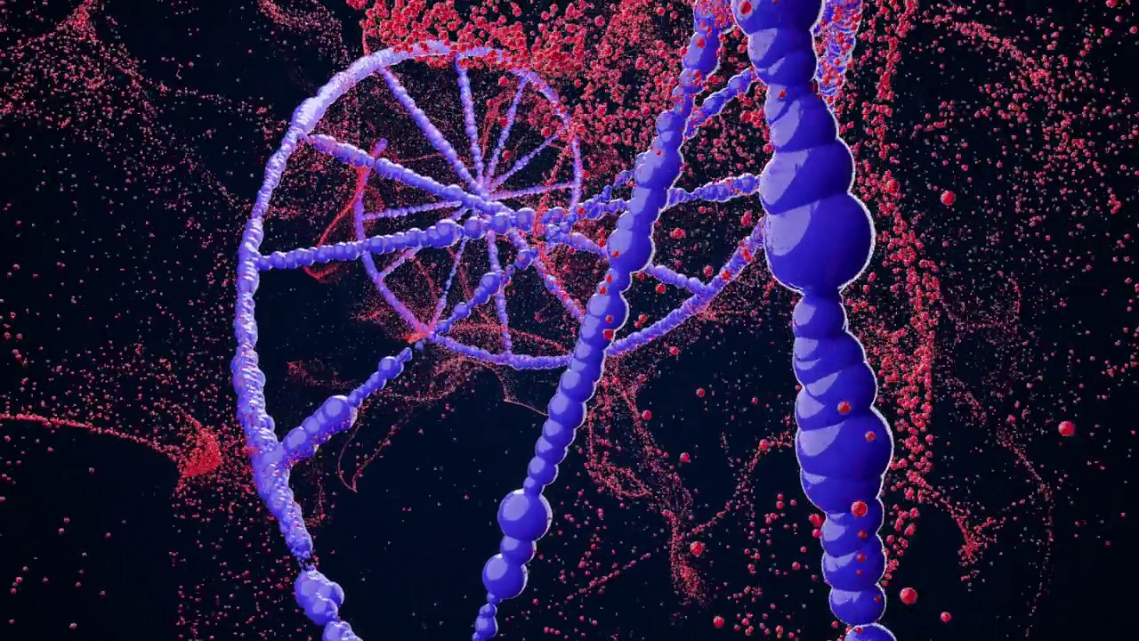 4k视频的粉红色和紫色的DNA链在黑色背景与粉红色的闪光。视频下载