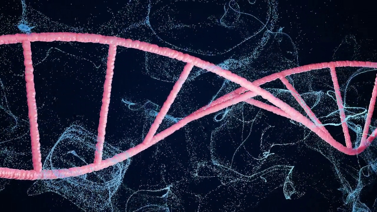 4k视频，淡粉色DNA链，黑色背景，蓝色灯光。视频下载