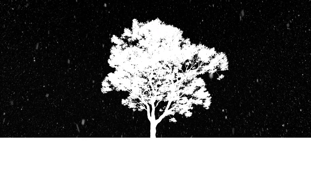 冬天的生命之树，剪影4K视频下载