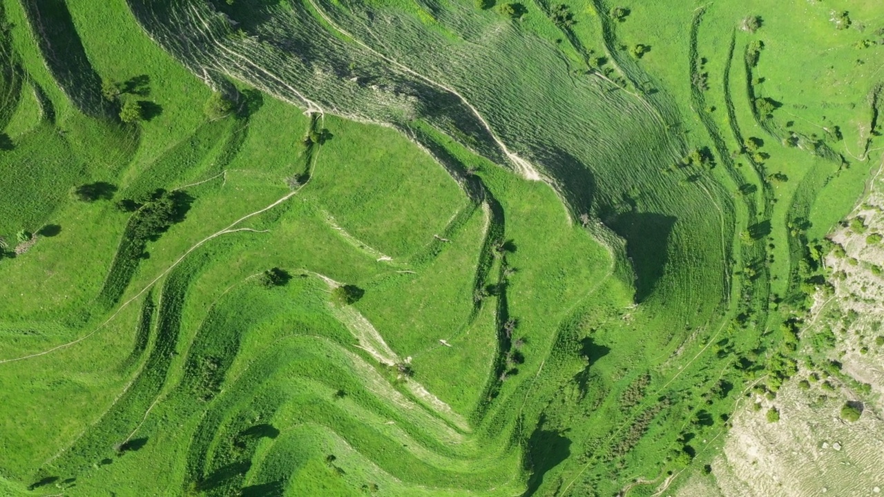 鸟瞰风景优美的绿色梯田。达吉斯坦山脉的梯田视频下载
