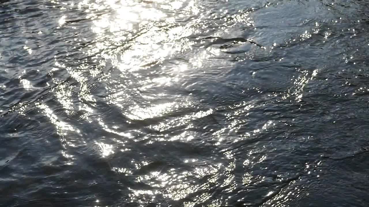 水流和阳光视频素材