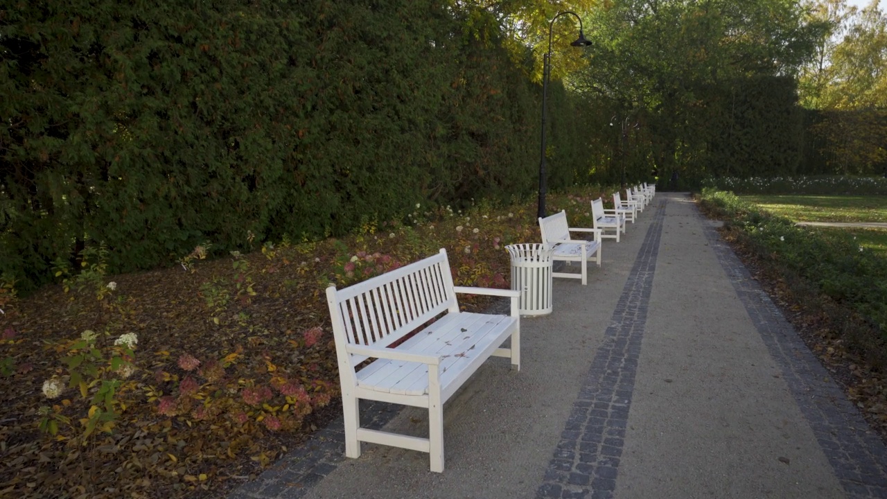 秋天公园里小巷里的白色长椅视频下载