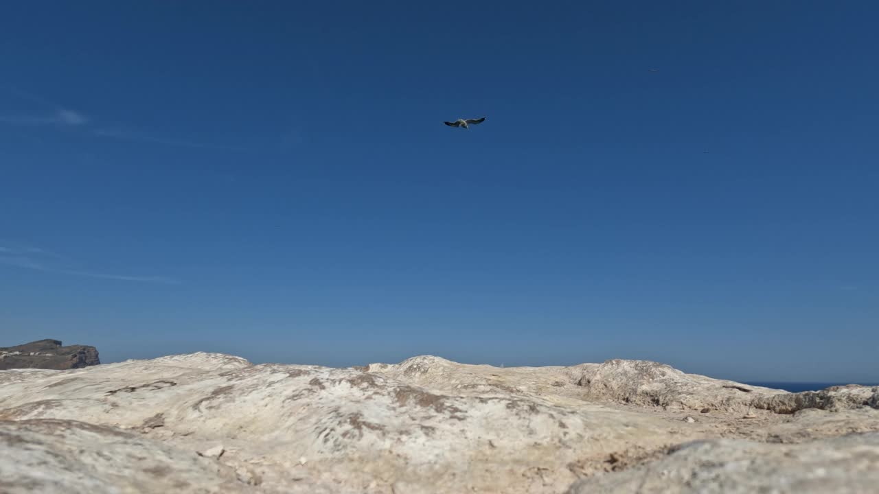 海鸥在海面上飞来飞去，在天空和岩石的映衬下视频素材