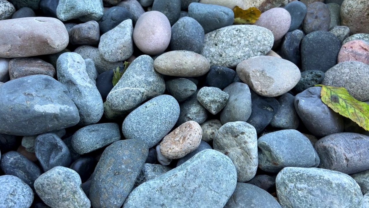 沉船海滩，塔海滩，阿卡迪亚海滩温哥华海滩海滩上有石头，相机慢慢游动，拍下它们的特写，它们是不同大小的灰蓝色颜色。视频下载