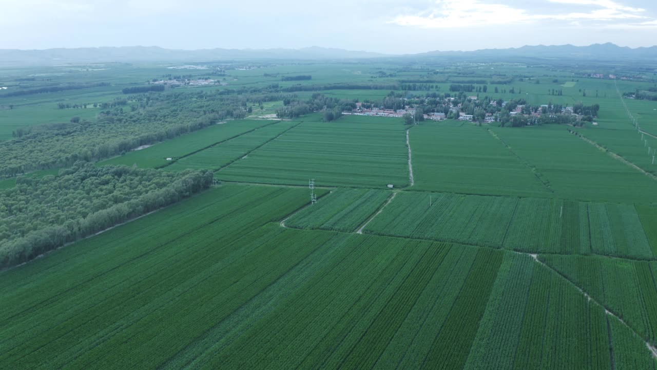 鸟瞰亚洲玉米田-环绕视图。视频下载