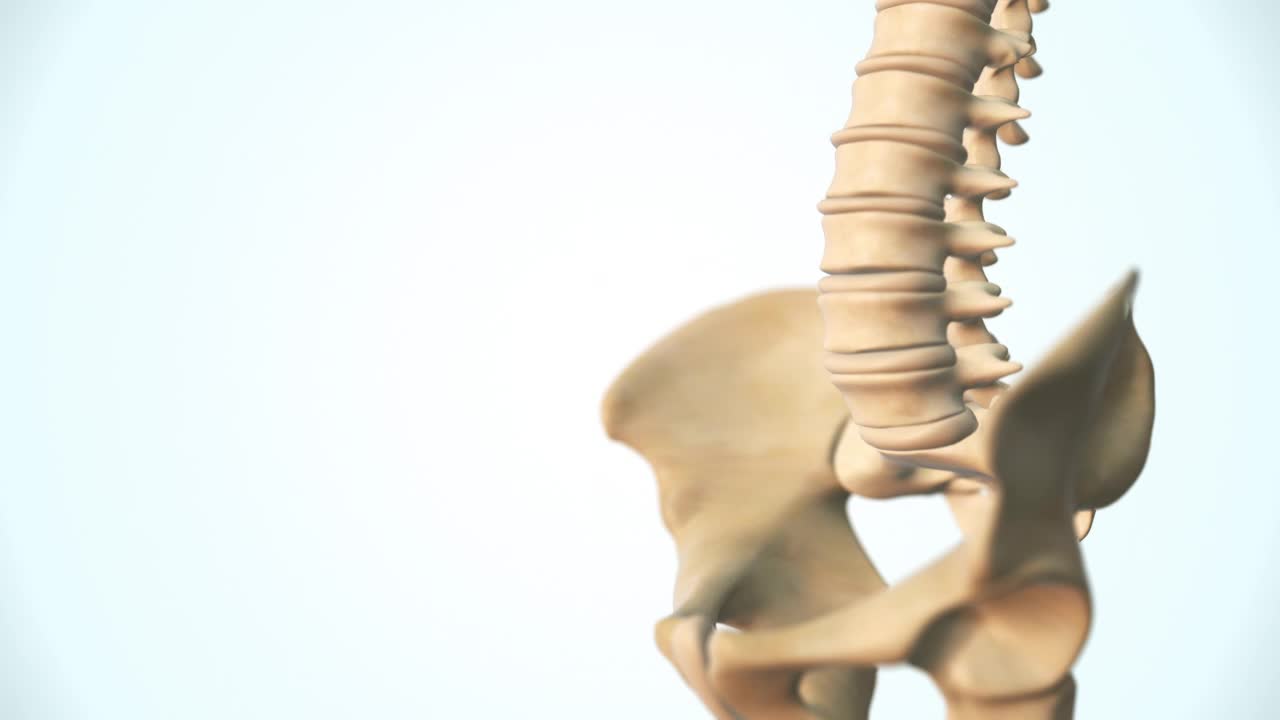 脊柱骨软骨病的类型视频素材