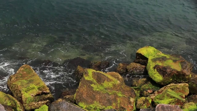 布满岩石的海岸上有水藻，海浪拍打着岩石视频下载