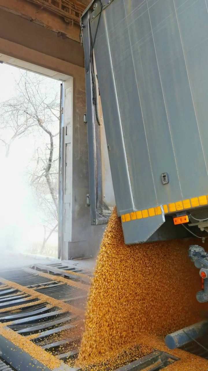 铁路上的一辆货车在电梯旁接收谷物，谷物流动得很漂亮，特写视频下载