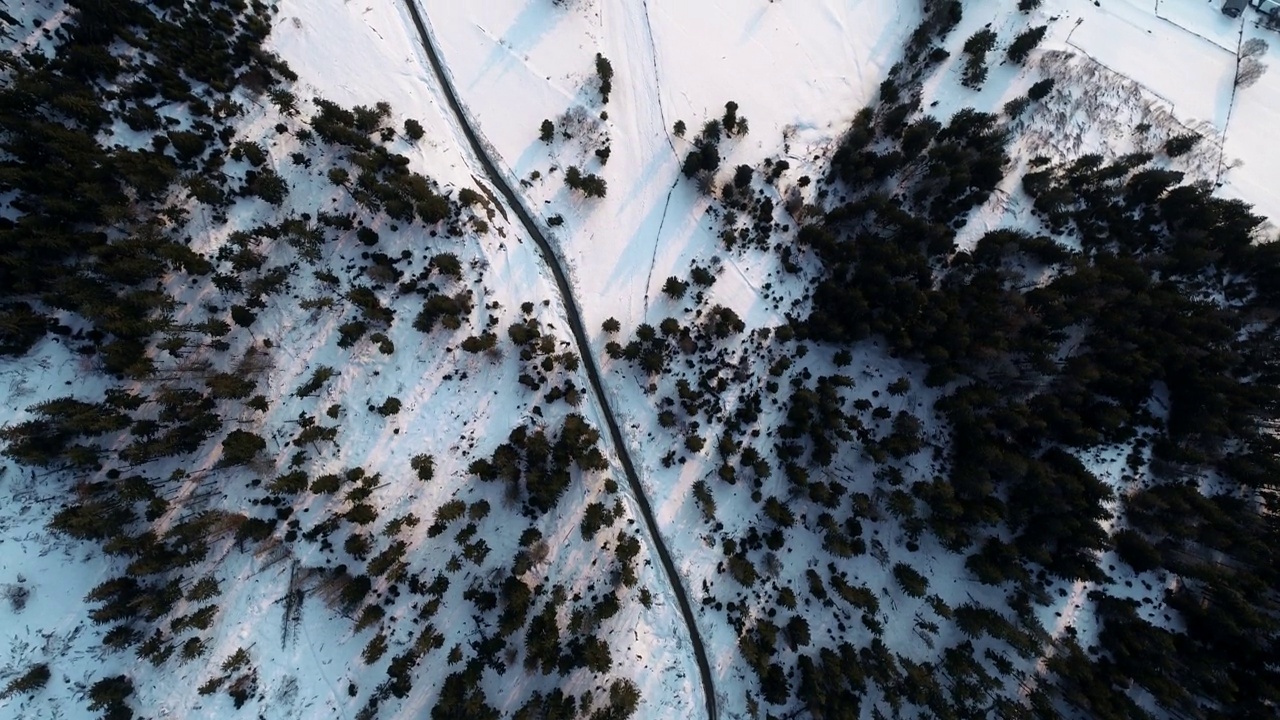 雪山和大绿树的全景。鸟瞰乌克兰喀尔巴阡山脉的野生植物群视频下载