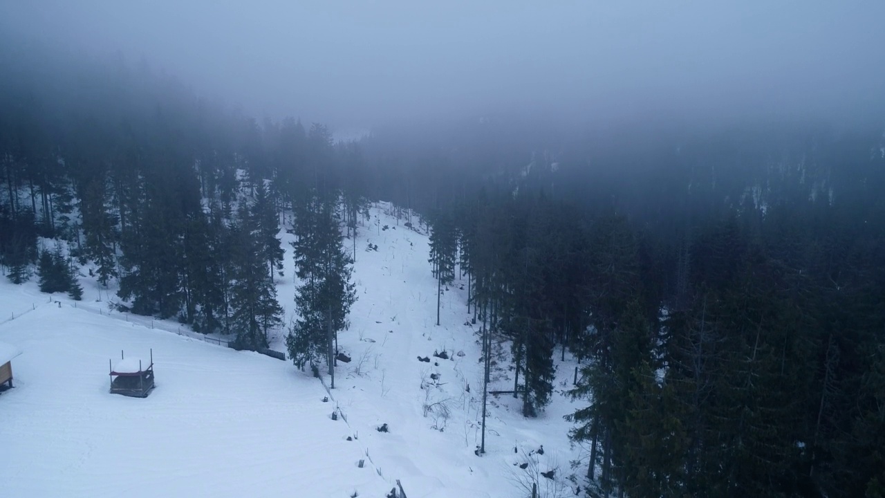 飞行在雪山针叶林上空，天气多雾不友好。视频下载