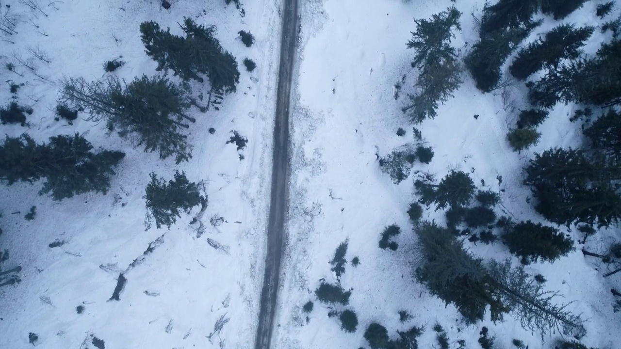 雪山和大绿树的全景。鸟瞰乌克兰喀尔巴阡山脉的野生植物群视频下载