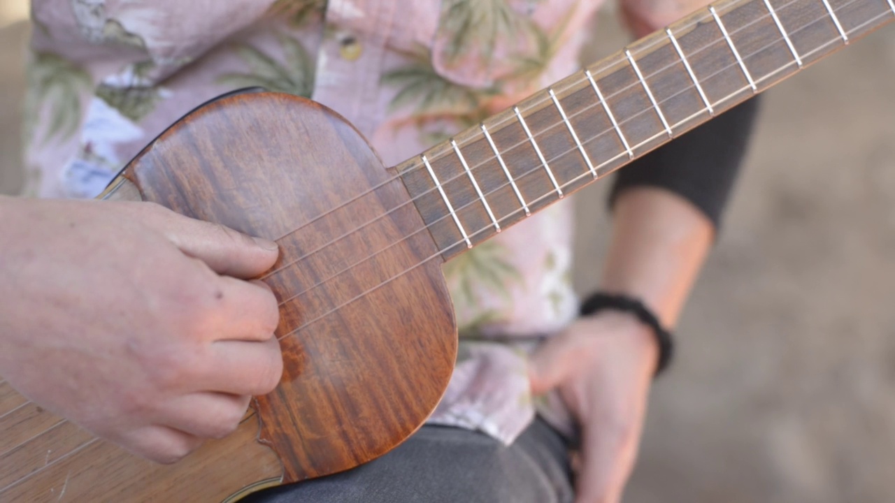 一个成年男子演奏传统的弦乐器视频下载