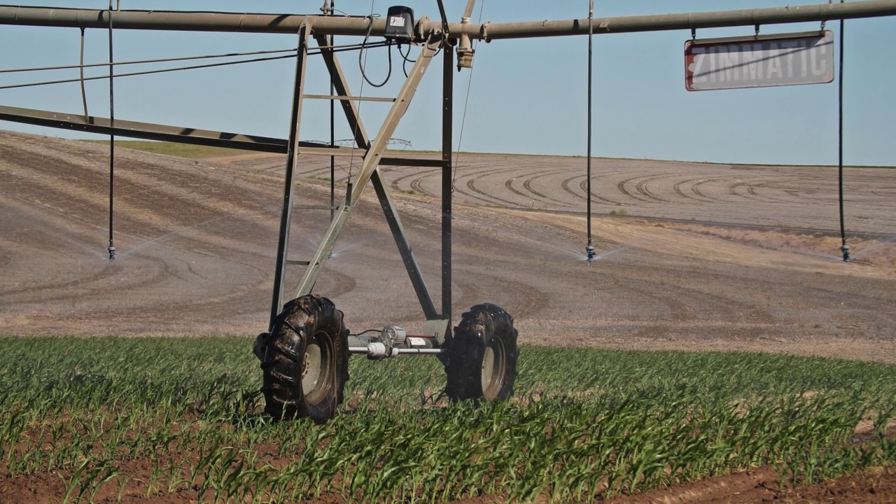 用大型灌溉喷头向茂盛的作物喷水的现代农业视频素材