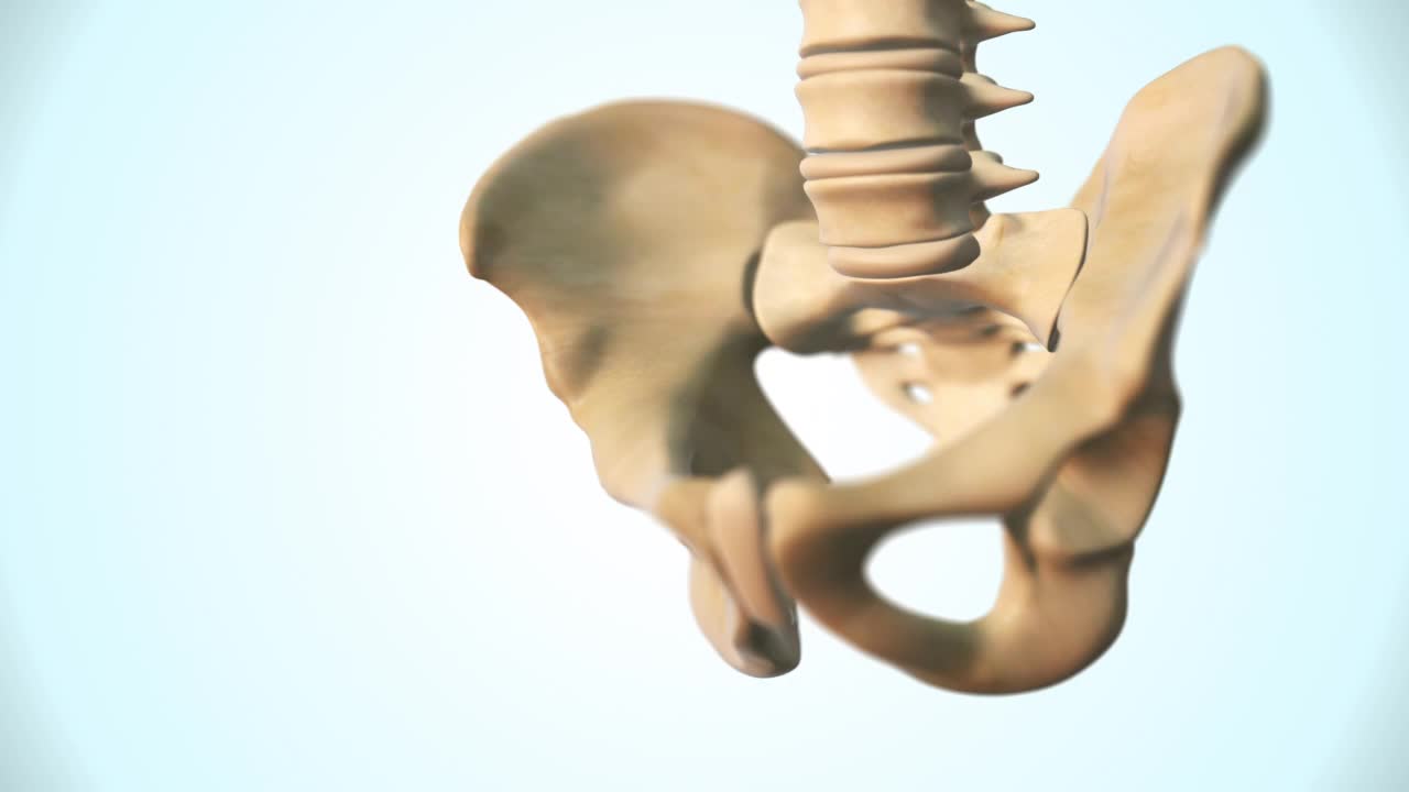 脊柱医学背景视频素材