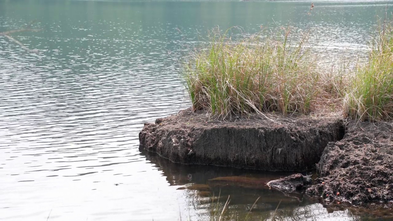 Imuta池塘的宁静风景视频下载