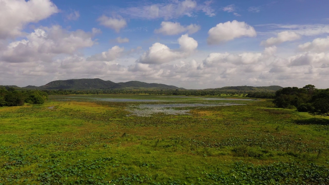 斯里兰卡的湿地。视频素材