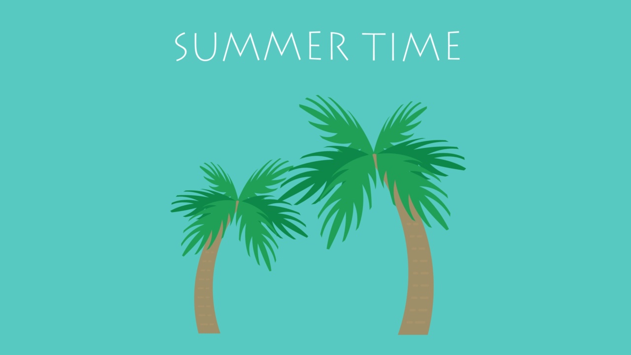 夏天的时间。棕榈树。视频下载