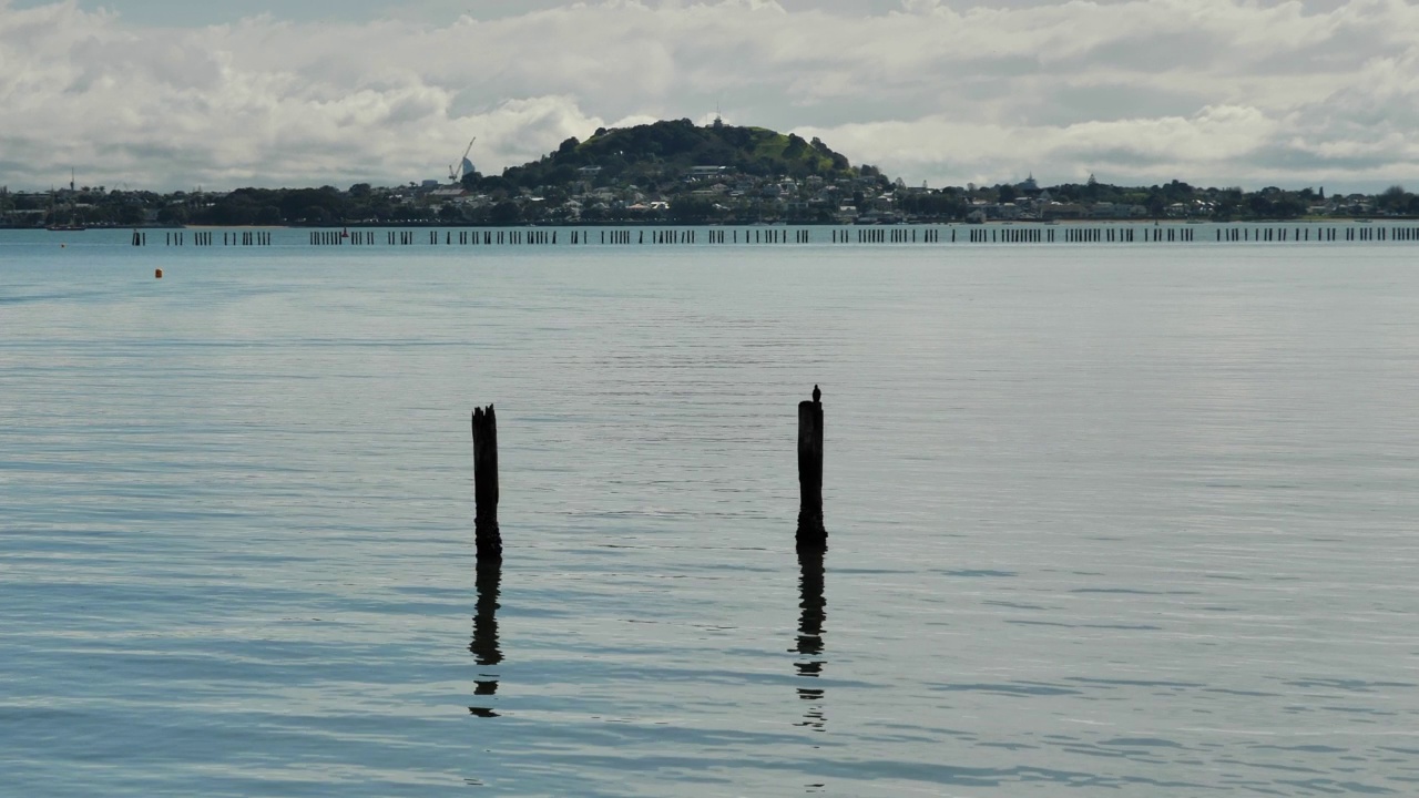 美丽的新西兰奥克兰海岸线视频素材