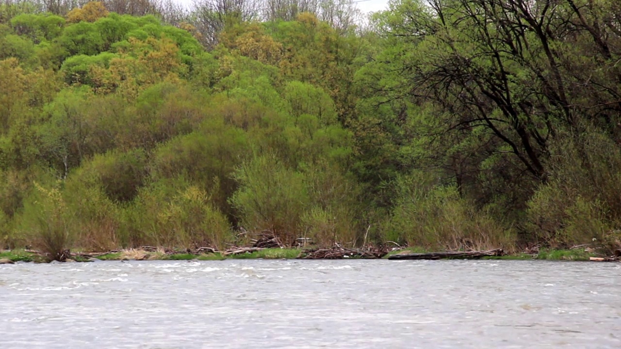 乌克兰喀尔巴阡山的奥皮尔河，Skole Beskids国家自然公园视频素材