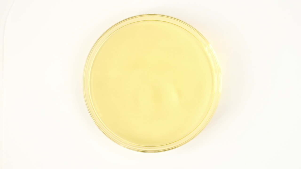 透明黄色化妆品液体滴在玻璃碗的皮氏菌。宏观注射血清，面霜，玻尿酸。有机化妆品、药品。慢动作视频下载