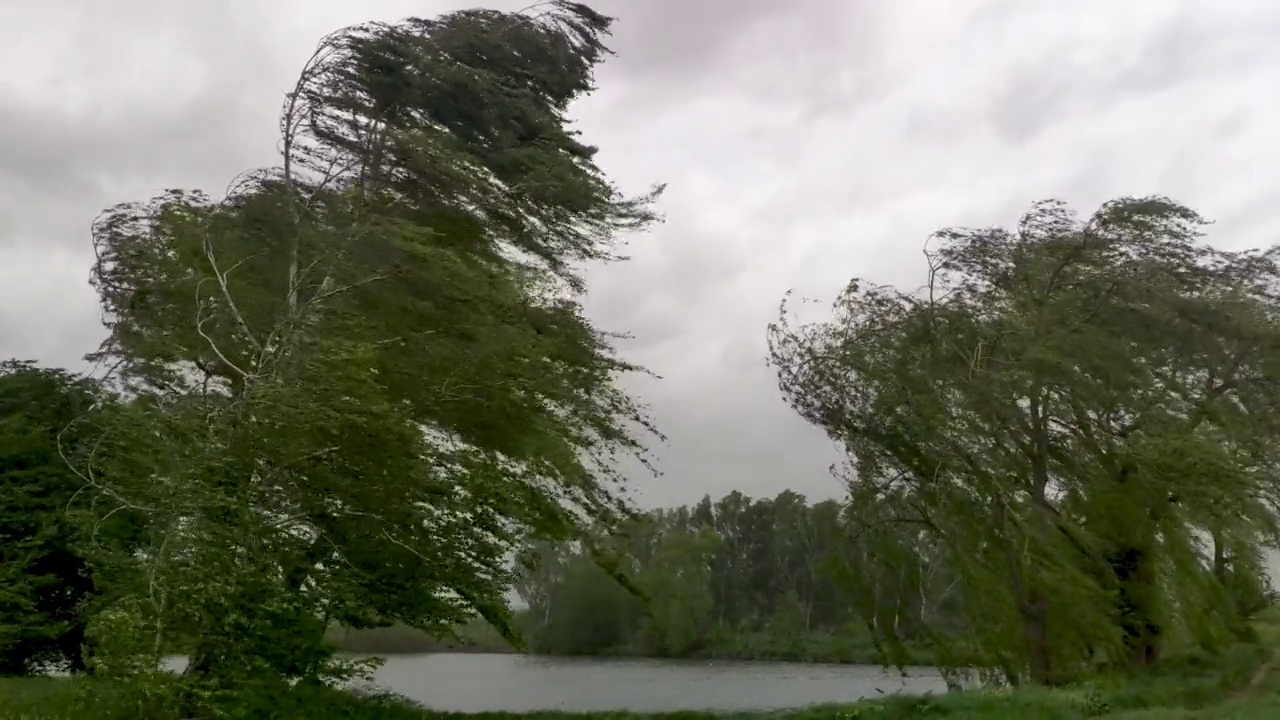 沙暴和强风破坏了湖边的桦树。飓风一日弯树，超级台风。树被大风吹断了。非常糟糕的天气。暴风雨淹没了沿海的房屋。视频素材