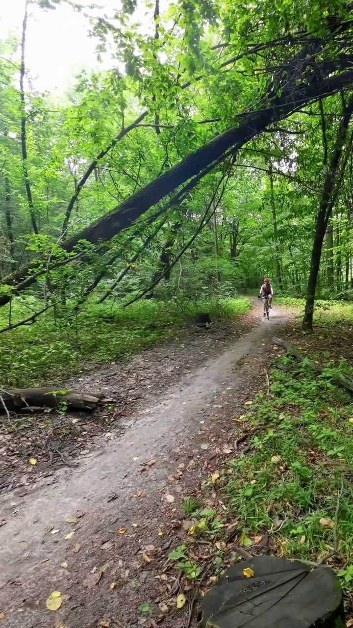 一个骑自行车的人从森林里一棵倒下的树下经过。视频素材