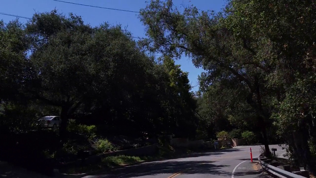 司机在一条绿树成荫的郊区街道上行驶视频下载