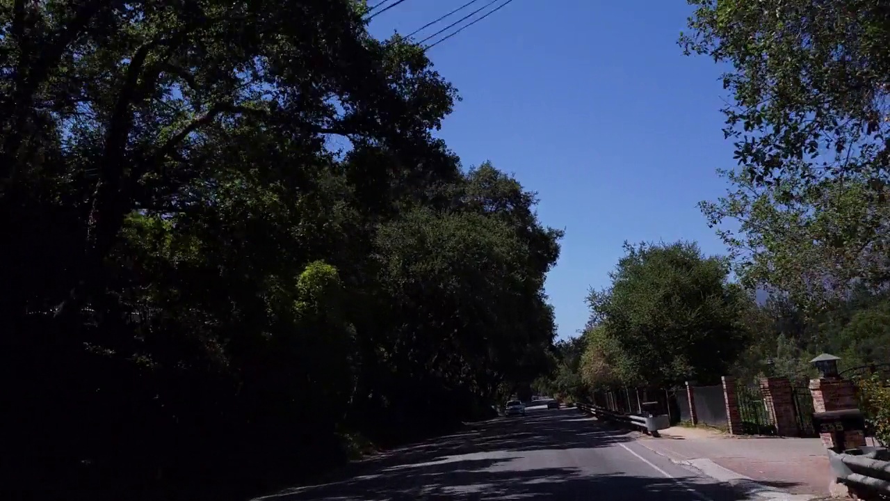 在茂密的橡树树冠下行驶在乡间小路上视频下载