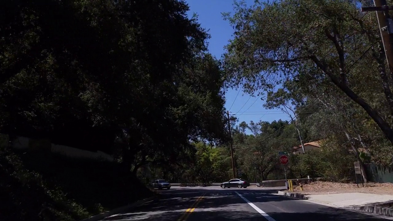 行驶在一条乡间小路上，头顶是茂密的橡树树冠视频下载