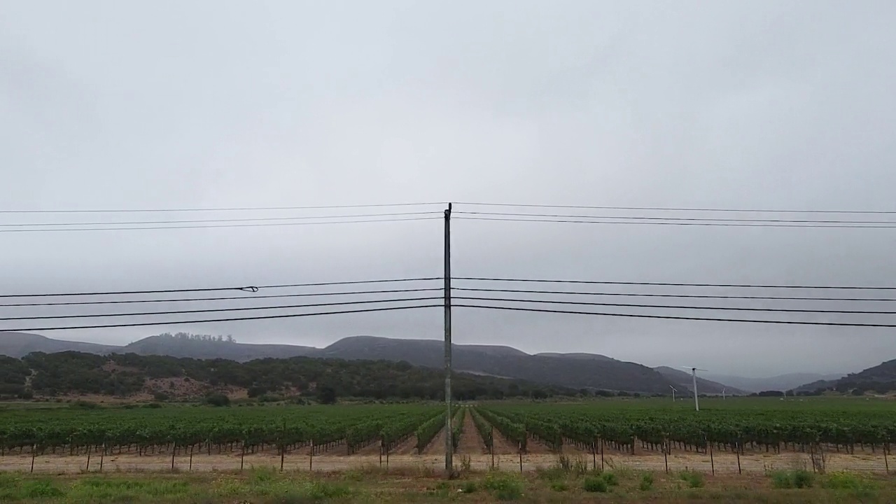 开车经过小葡萄园和农田，雾覆盖了小山视频下载