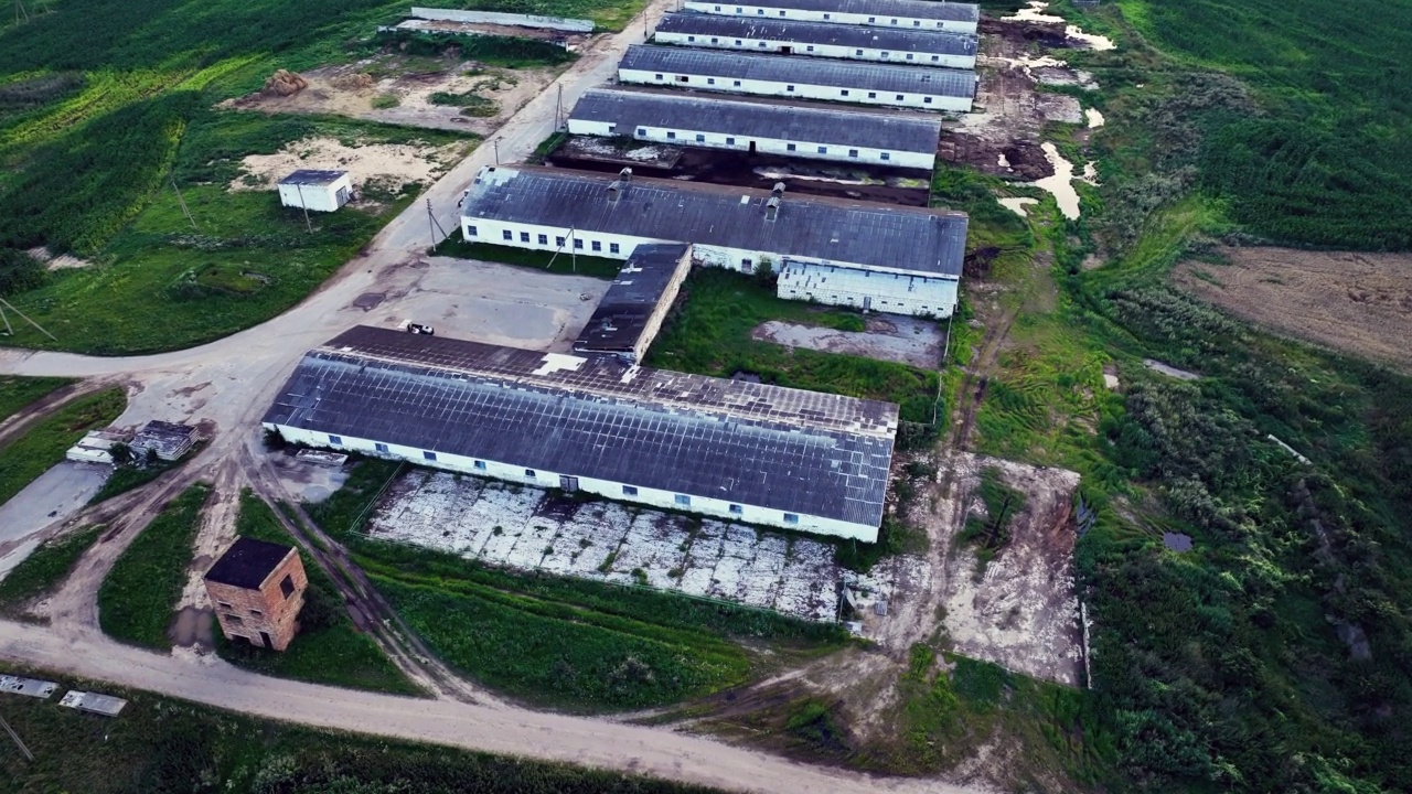 农场建筑与牛和猪在农村，鸟瞰图。视频素材