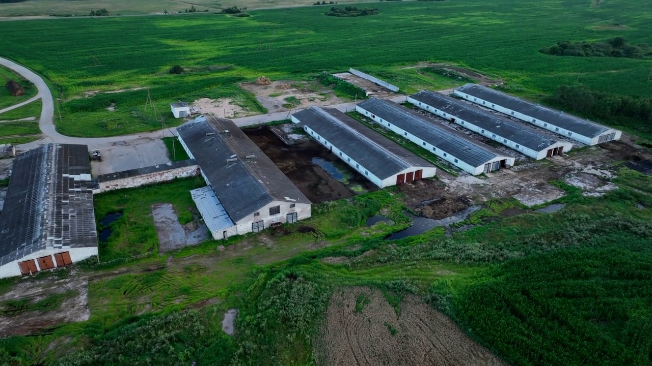 农场建筑与牛和猪在农村，鸟瞰图。视频素材