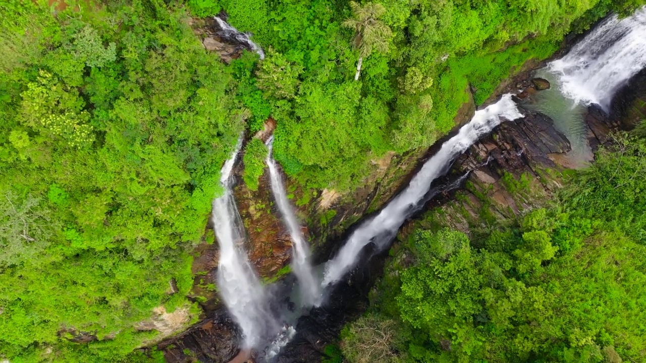 丛林中的瀑布。斯里兰卡。雨林中的普纳艾拉瀑布。视频素材