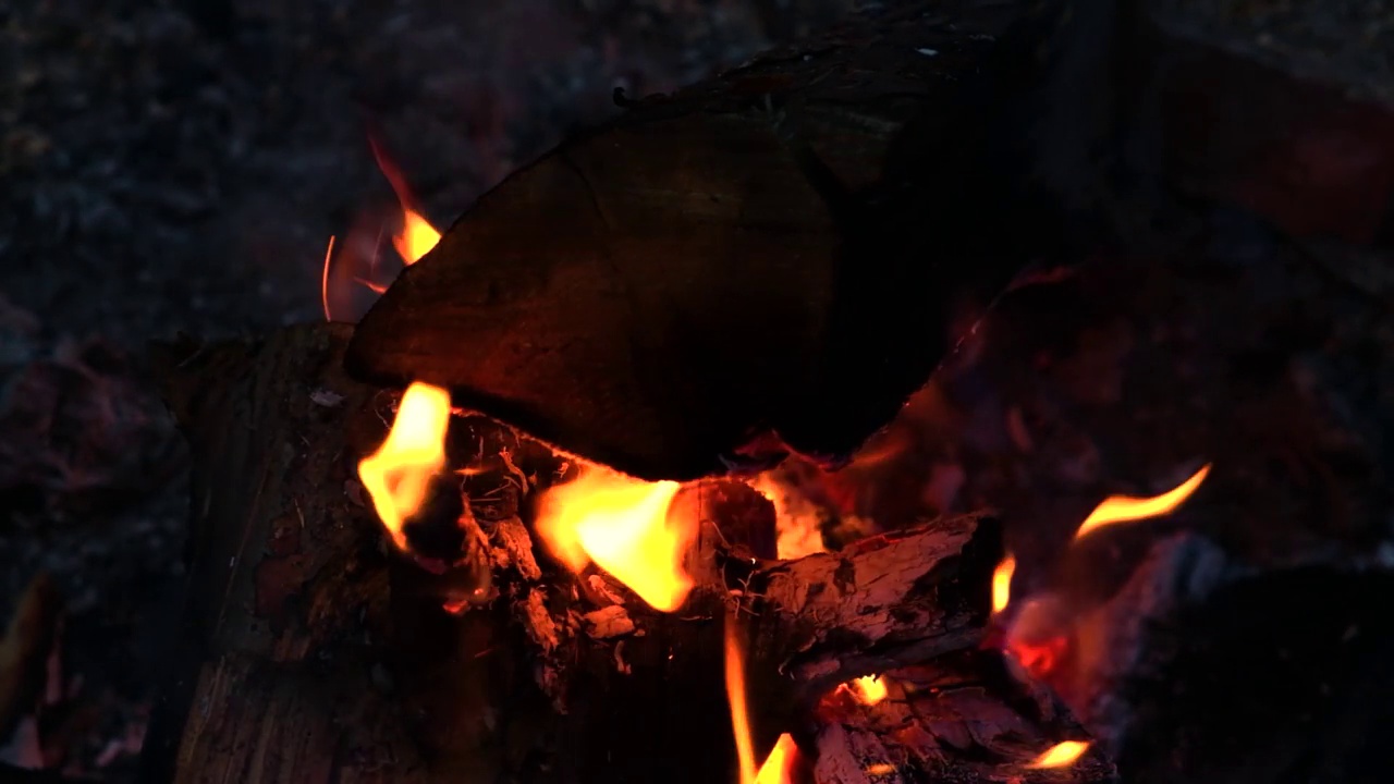 在火中燃烧木头视频素材