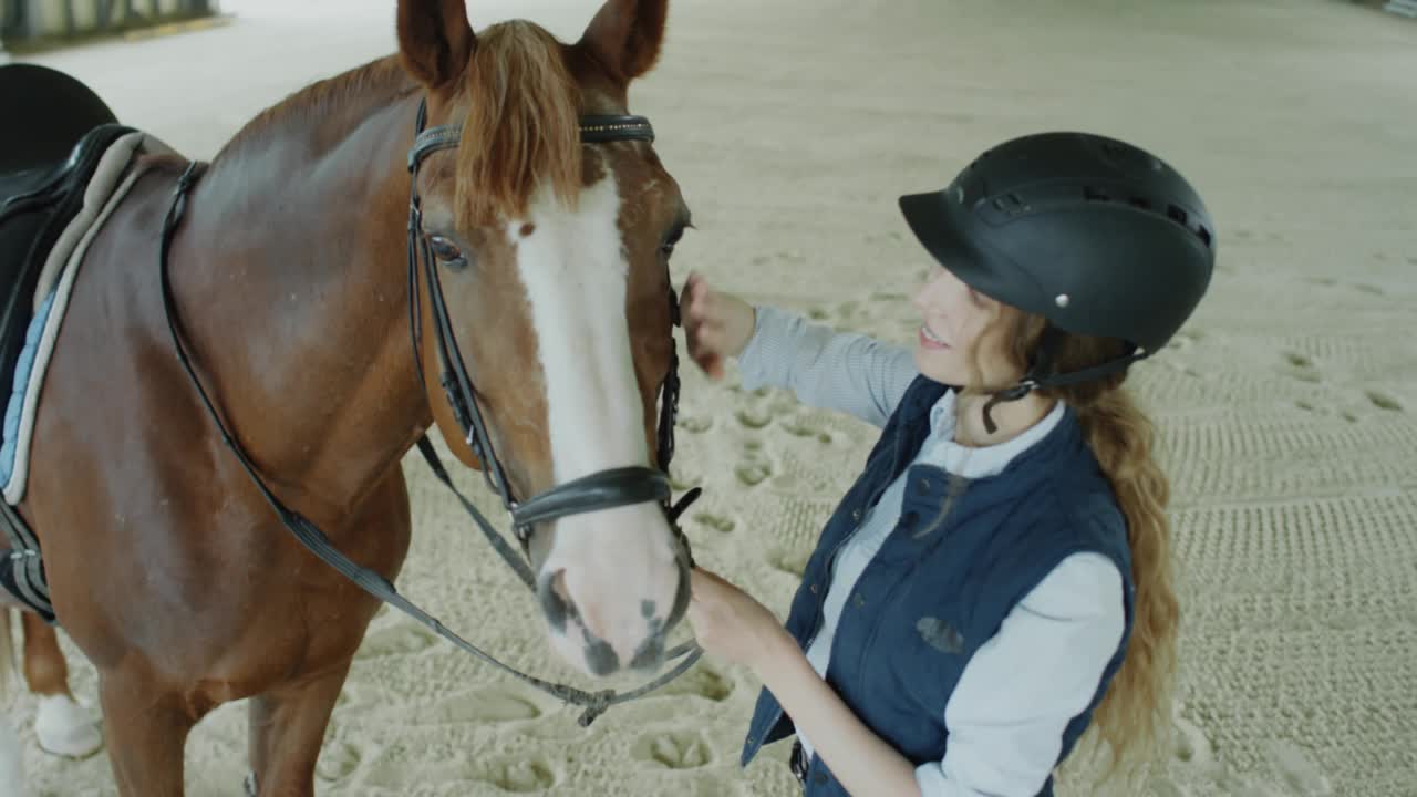 女骑手抚摸可爱的马视频素材