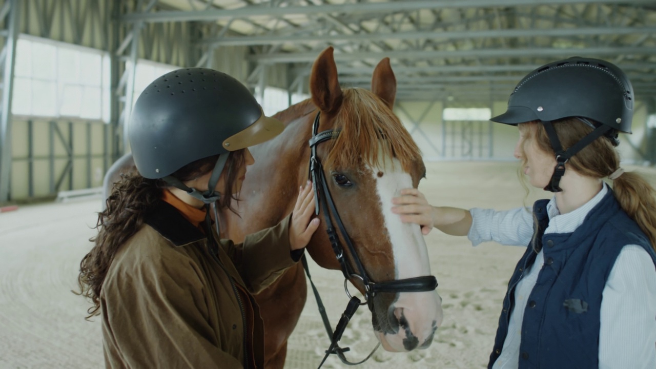 两个女骑手爱抚可爱的马视频下载