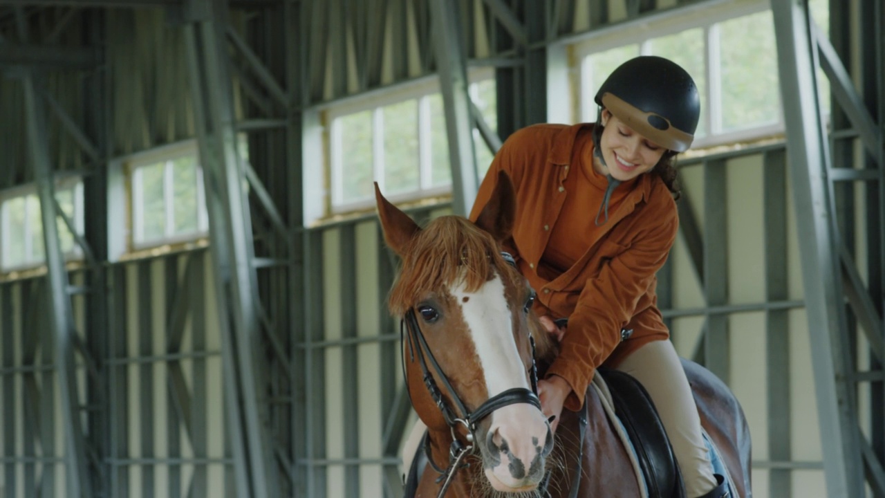 女骑手在马鞍上抚摸马视频素材