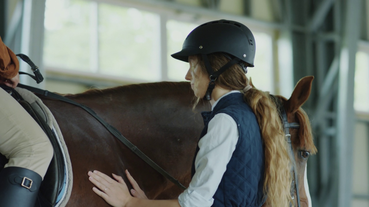 女骑师抚摸着马，说话视频下载