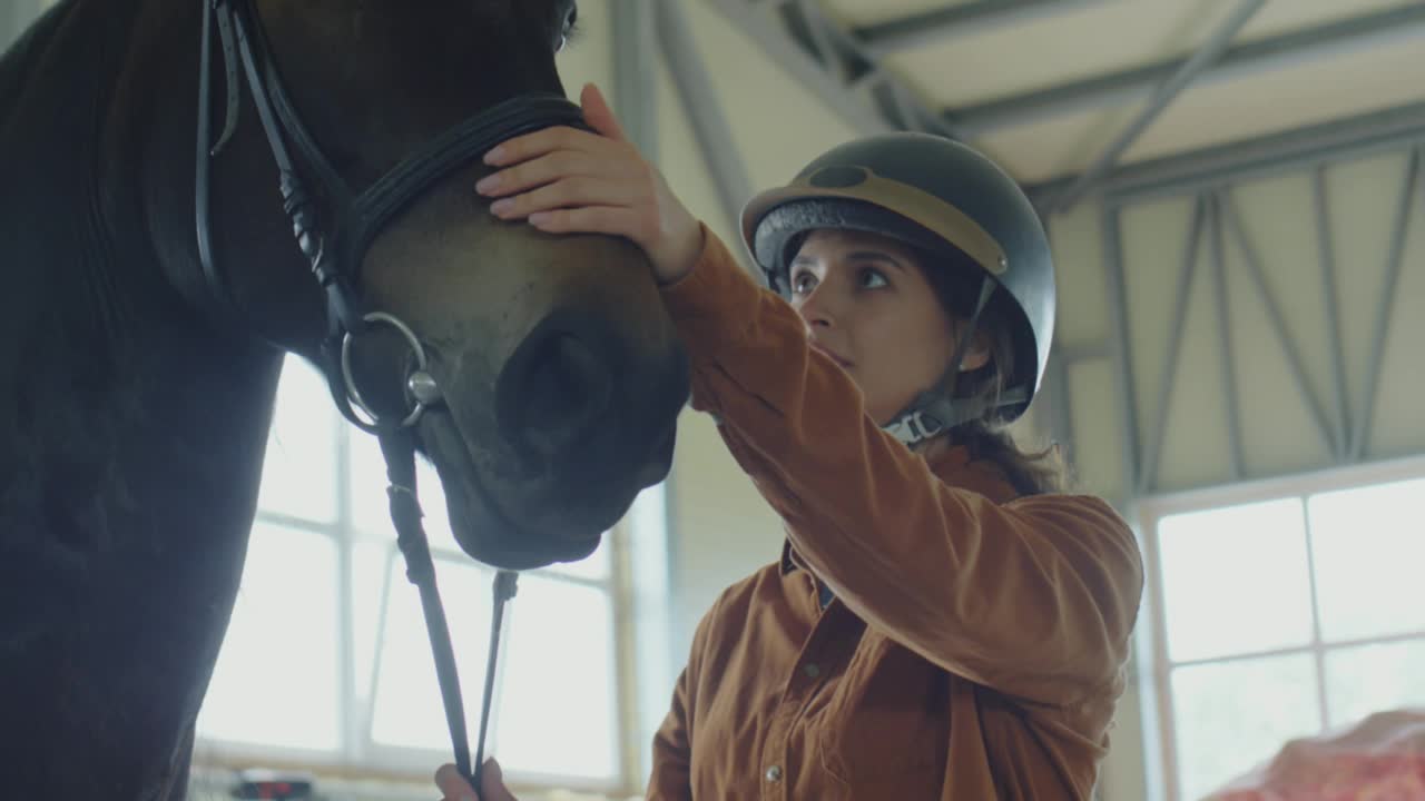 女骑师抚摸马和微笑视频素材