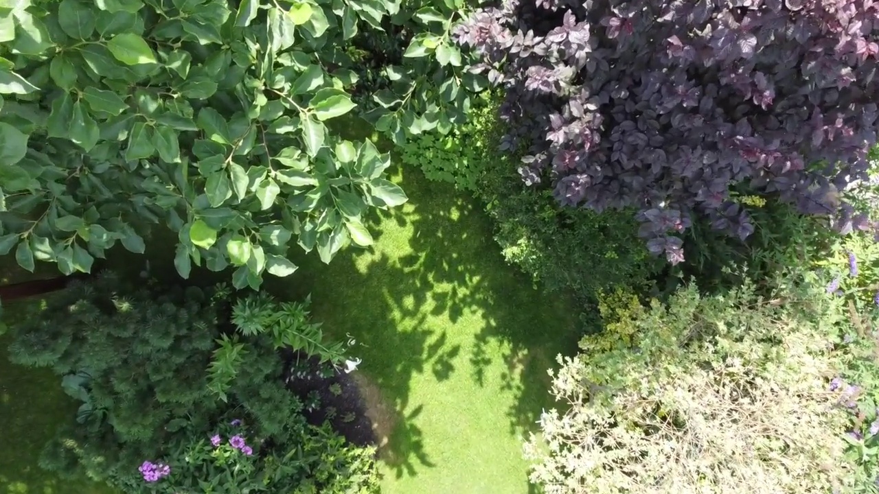 夏天让无人机降落在花园的草坪上视频下载