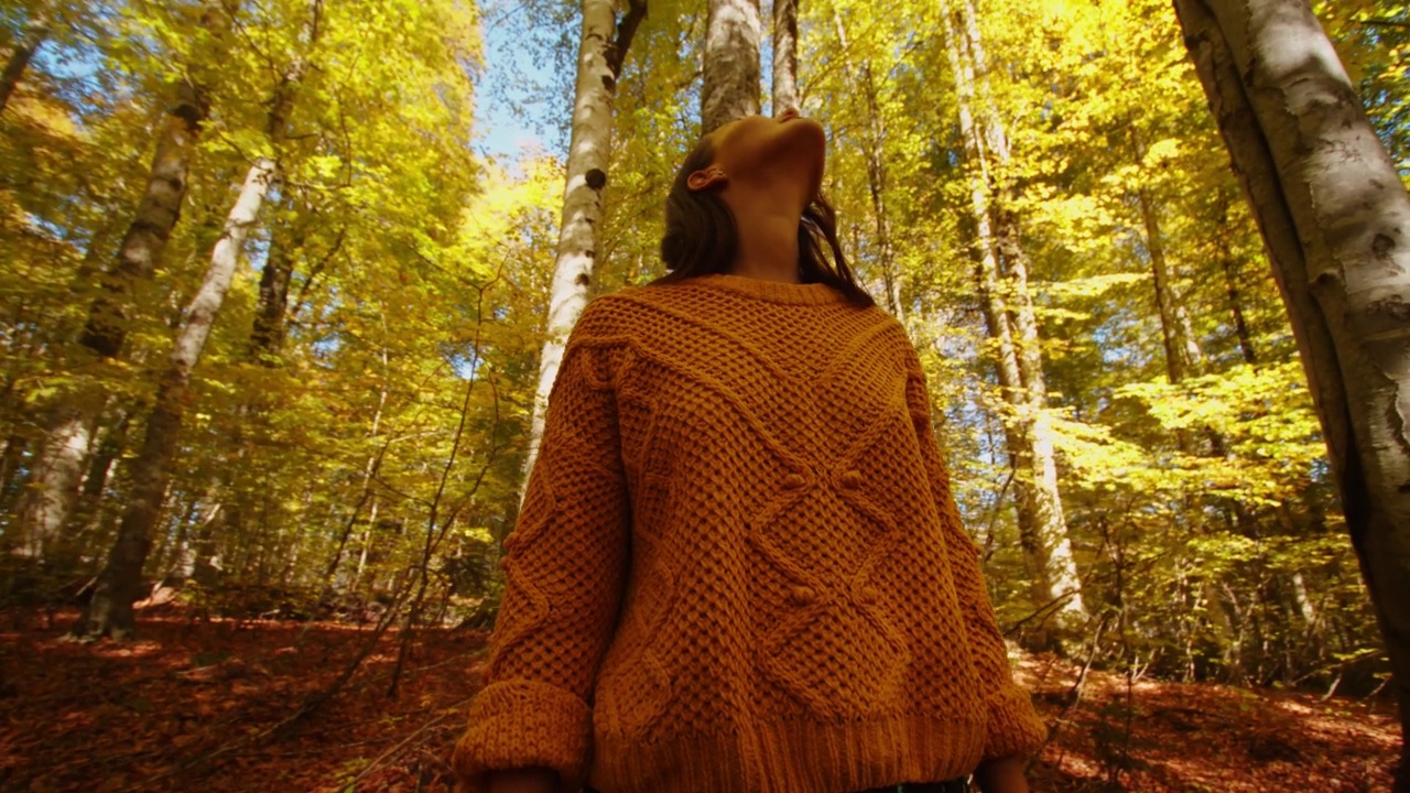 年轻女子正在探索高加索山脉森林里风景优美的树冠。底部的看法，女孩抬头看树顶覆盖着阳光和秋天的颜色。视频下载