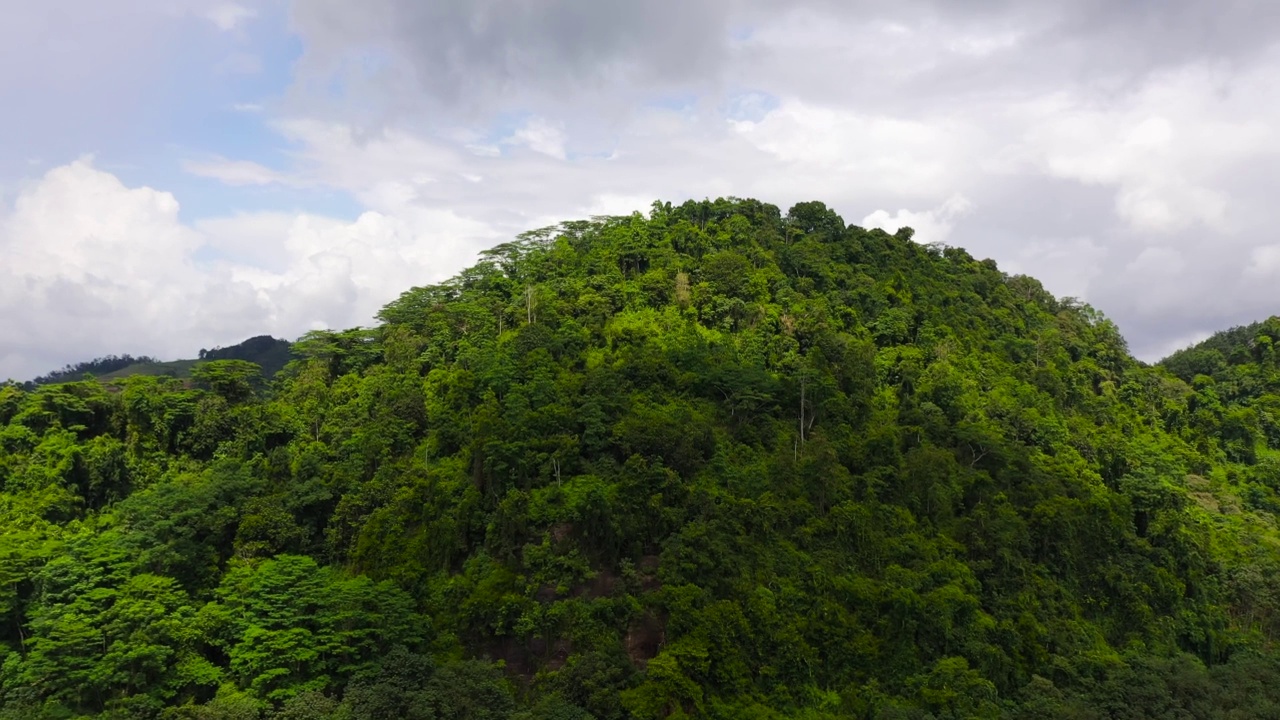 斯里兰卡的热带地貌，山脉和丛林。视频素材