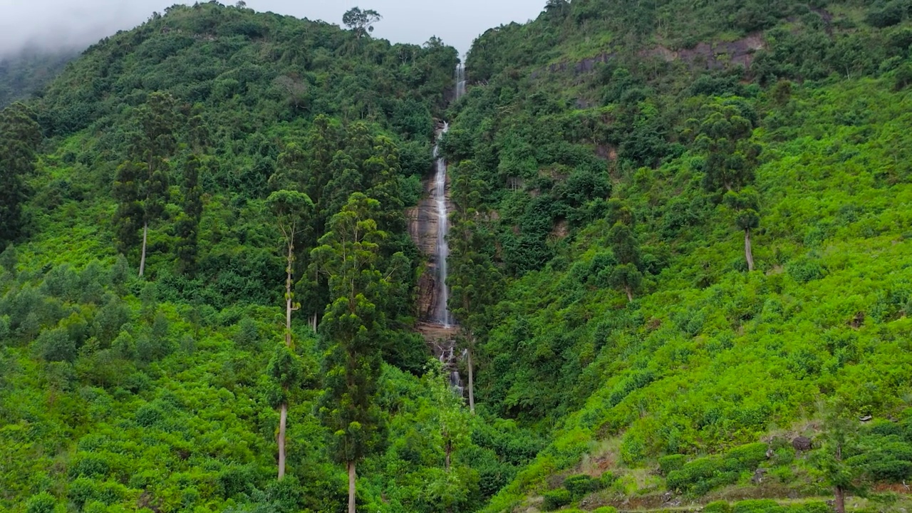 绿林间的瀑布。斯里兰卡。视频素材