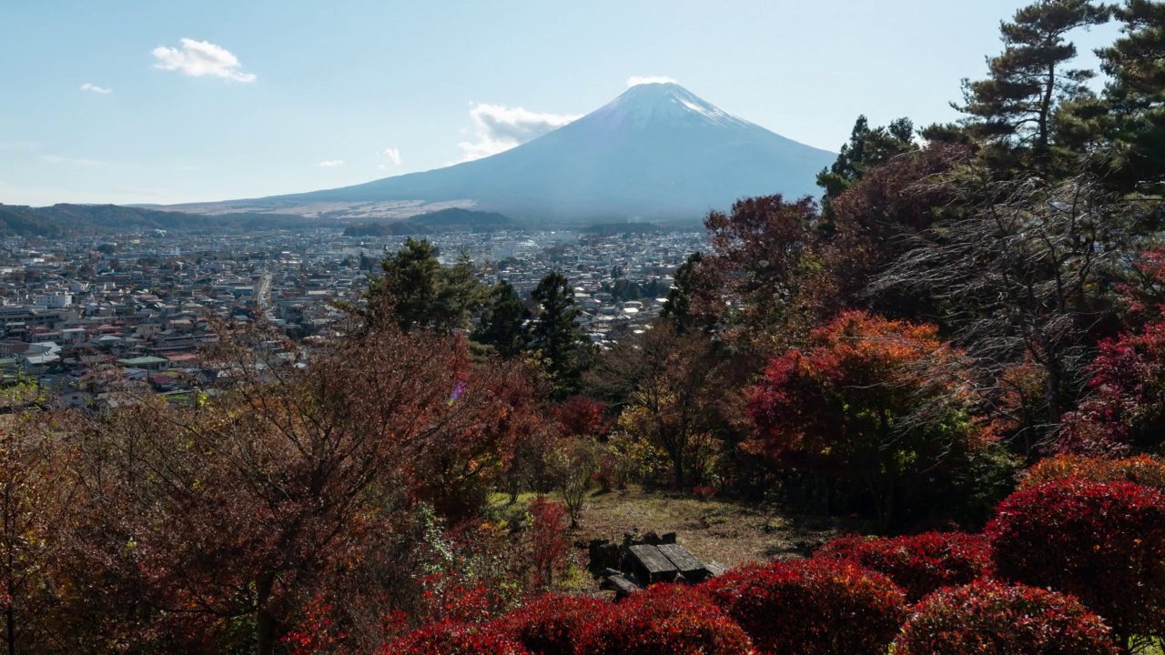 富士吉田市より望む秋の富士山と紅葉 (Mt. Fuji in Autumn)视频下载
