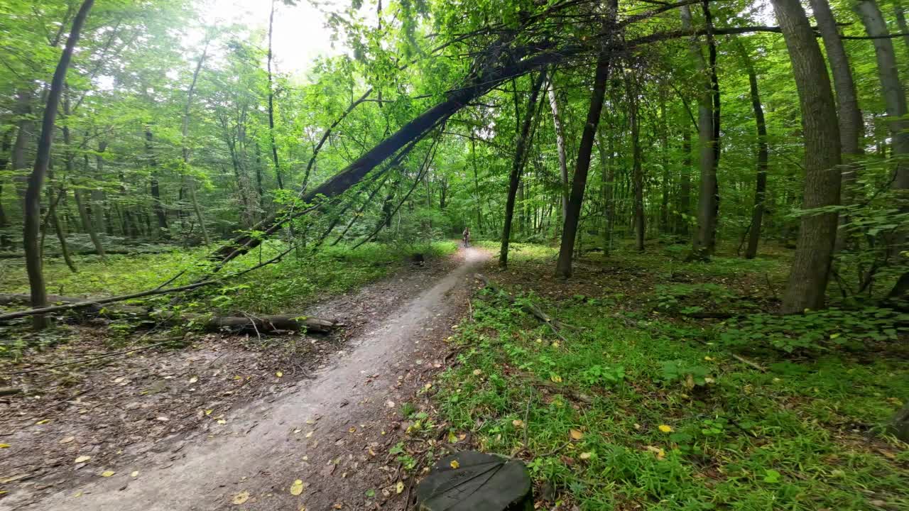 一个骑自行车的人从森林里一棵倒下的树下经过。视频素材