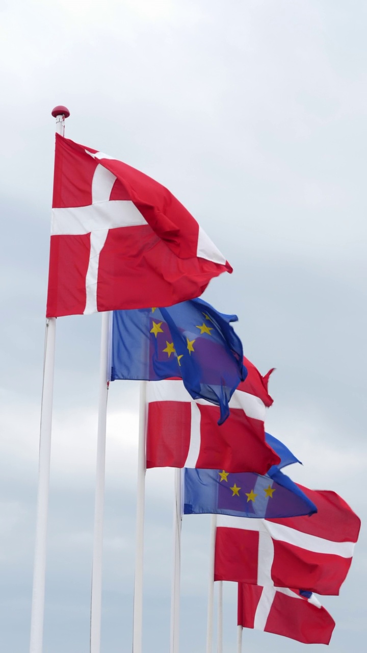 丹麦和欧洲旗帜垂直慢动作视频下载