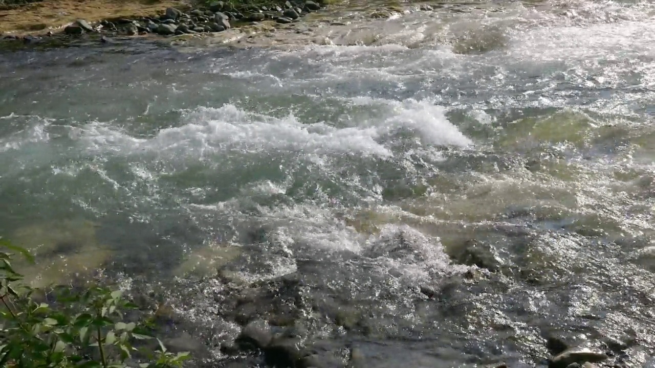 河水流视频素材