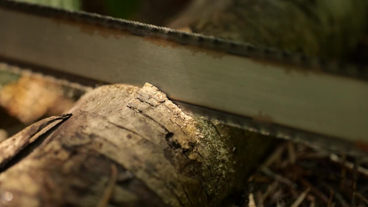 手锯片在森林里用慢动作锯开一根细树枝。近距离特写，阳光，没有人视频素材