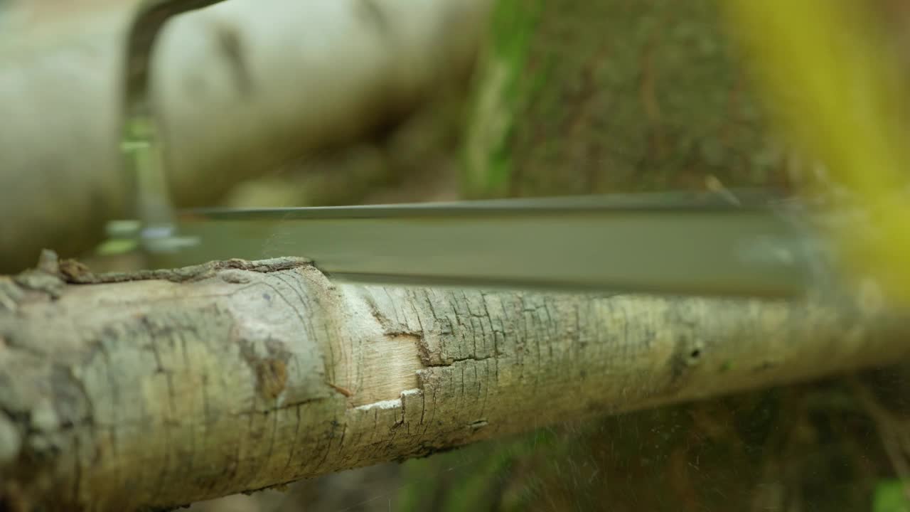 在森林里，一名男子正在用手锯锯开一根细树枝。特写，实时拍摄，没有人视频下载