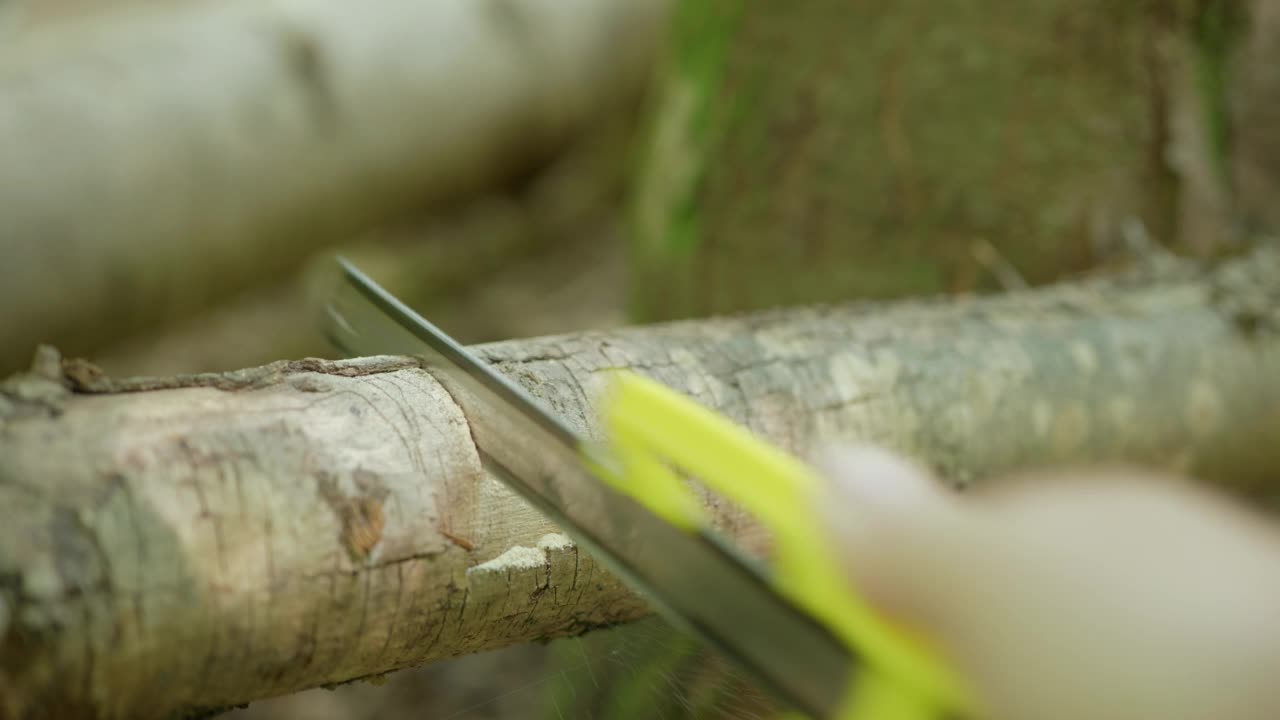 在森林里，一名男子正在用手锯锯开一根细树枝。特写，实时拍摄，没有人视频素材
